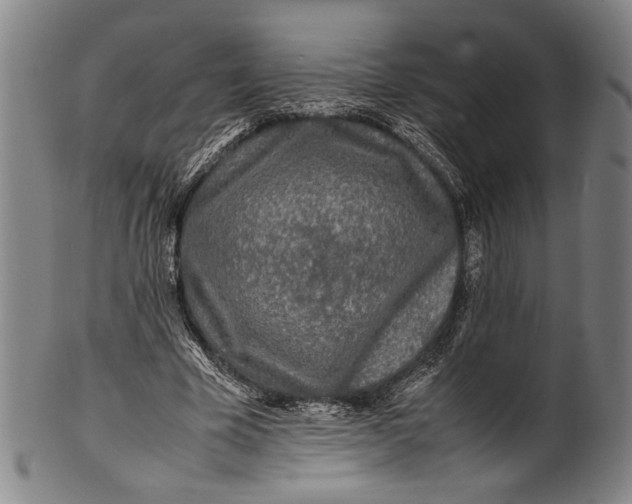 X0000100850585200807111218