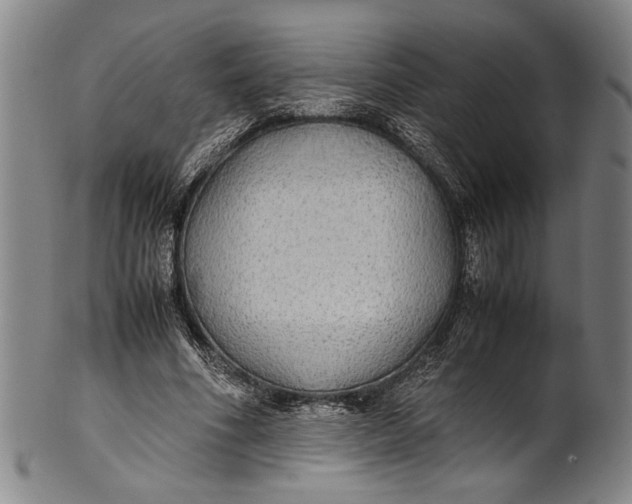 X0000100850586200807111218