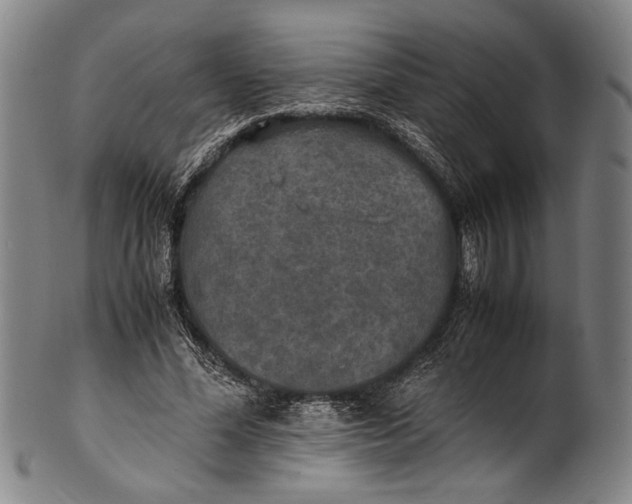 X0000100850588200807111218