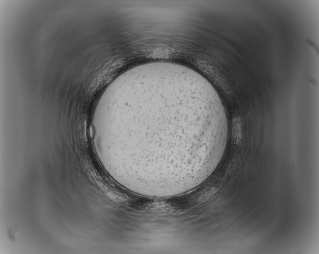 X0000100850589200807111218