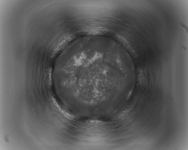 X0000100850590200807111218