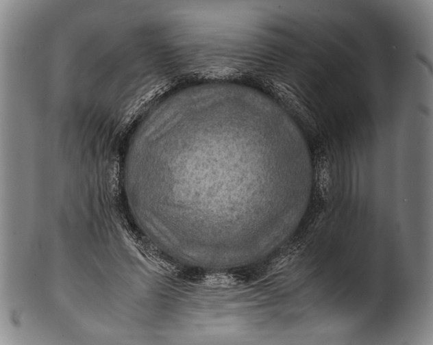 X0000100850591200807111218