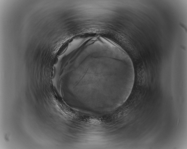 X0000100850592200807111218