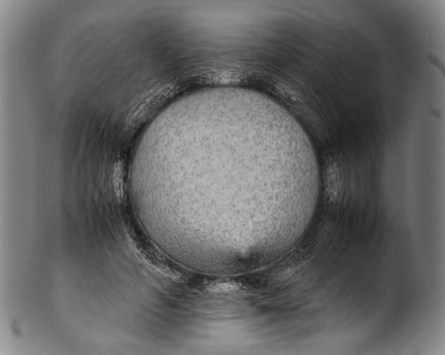 X0000100850594200807111218