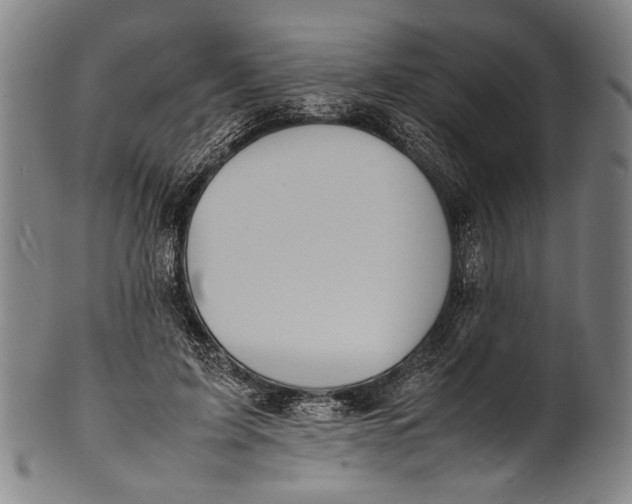 X0000100850595200807111218