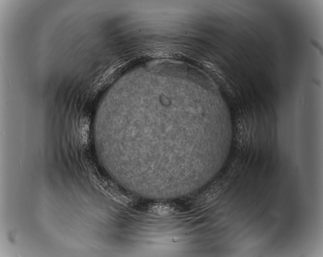 X0000100850596200807111218