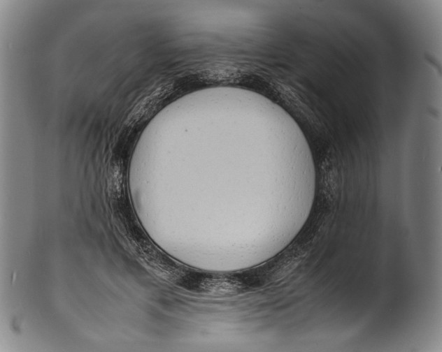 X0000100850597200807111218