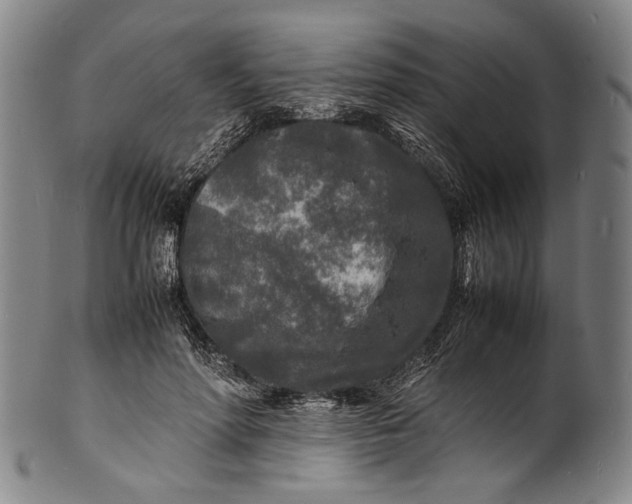 X0000100850598200807111218