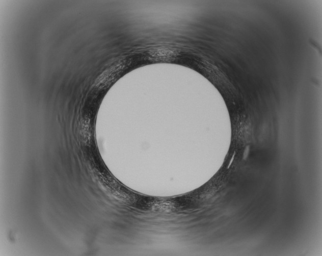 X0000100850599200807111218