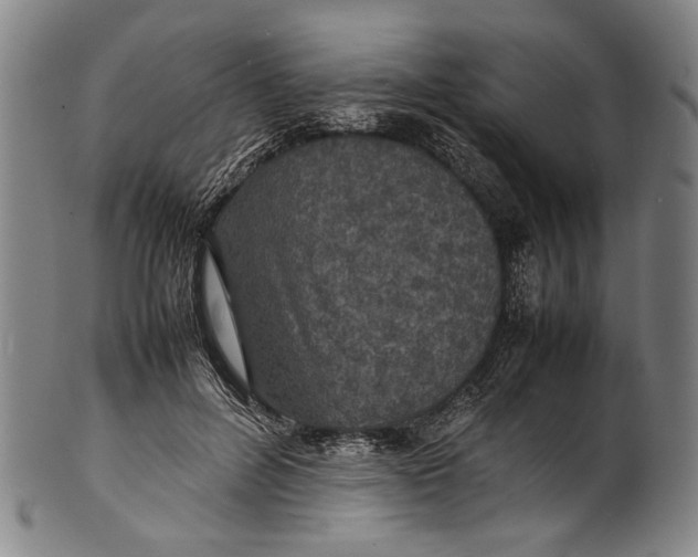 X0000100850600200807111218