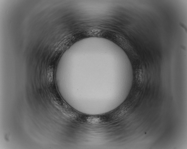 X0000100850602200807111218