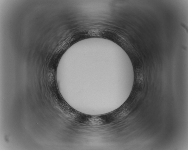 X0000100850603200807111218