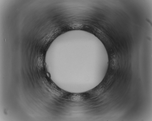 X0000100850604200807111218