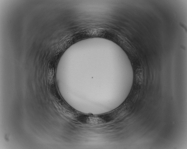 X0000100850605200807111218