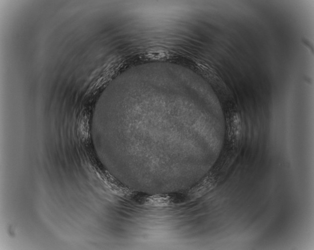 X0000100850606200807111218