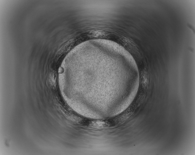 X0000100850607200807111218