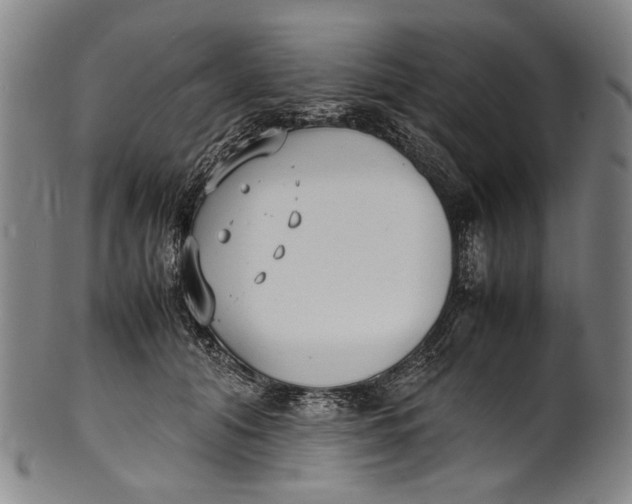 X0000100850608200807111218