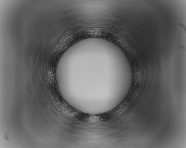 X0000100850609200807111218