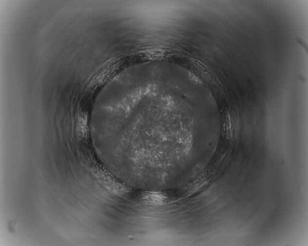 X0000100850610200807111218