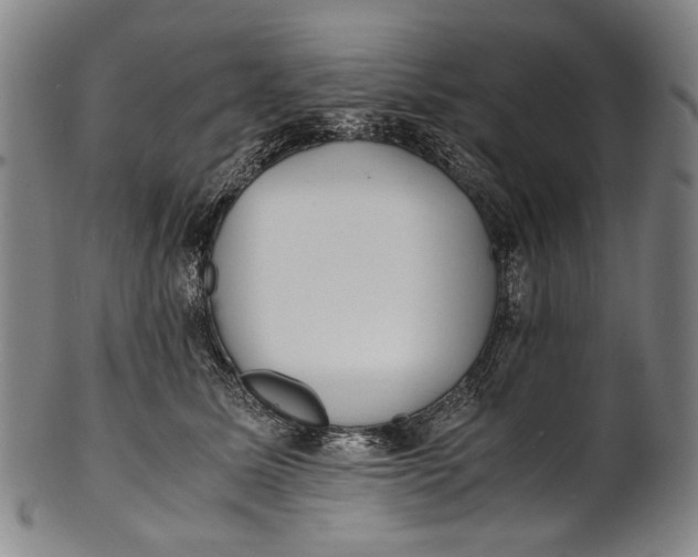 X0000100850611200807111218