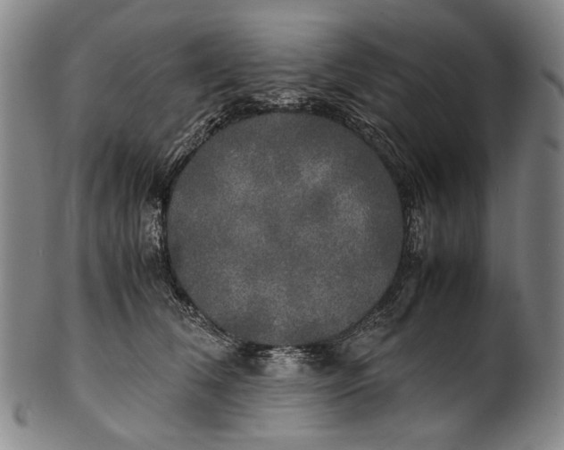 X0000100850612200807111218