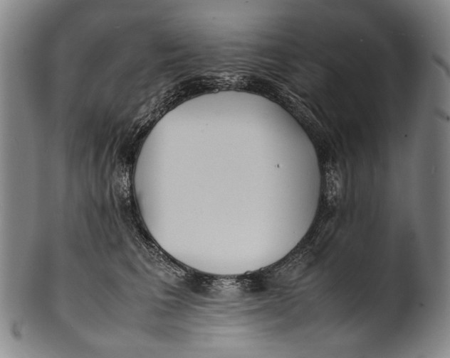 X0000100850613200807111218