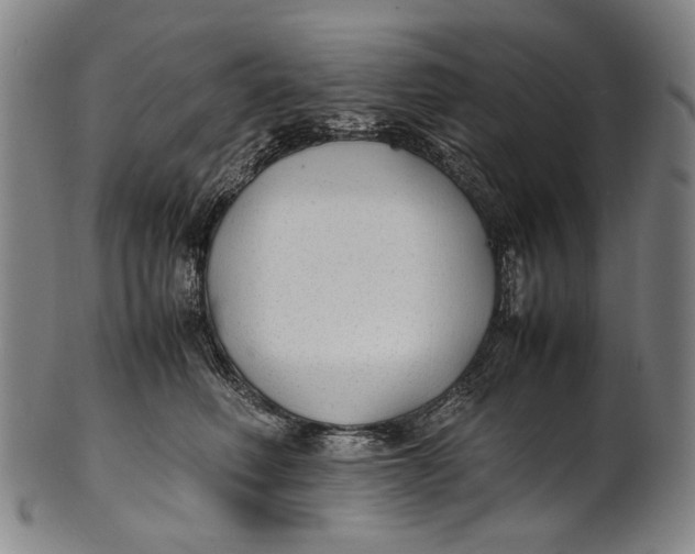 X0000100850614200807111218