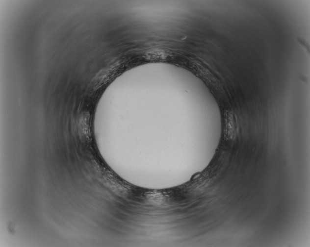 X0000100850616200807111217