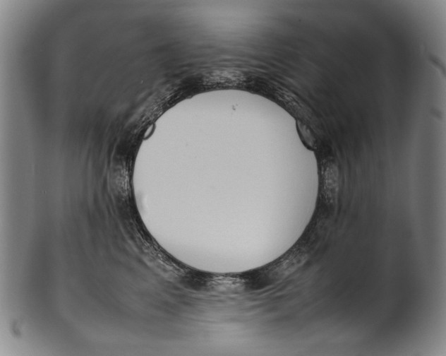 X0000100850617200807111217