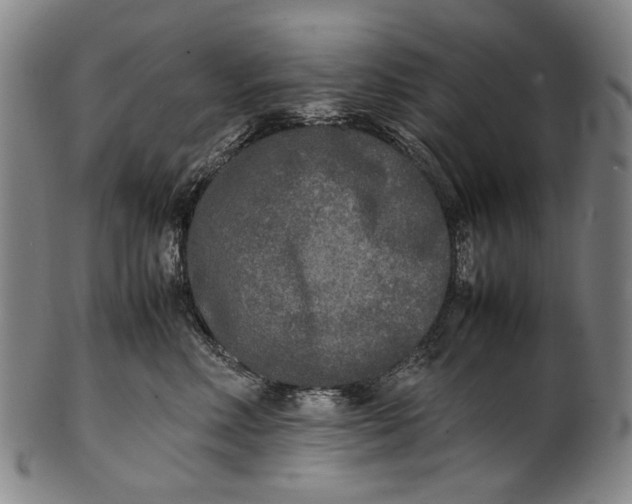 X0000100850618200807111217