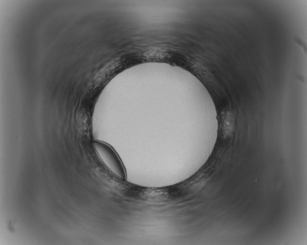 X0000100850619200807111217