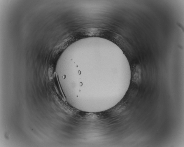 X0000100850620200807111217