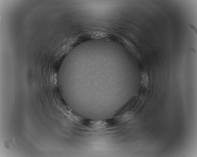 X0000100850621200807111217