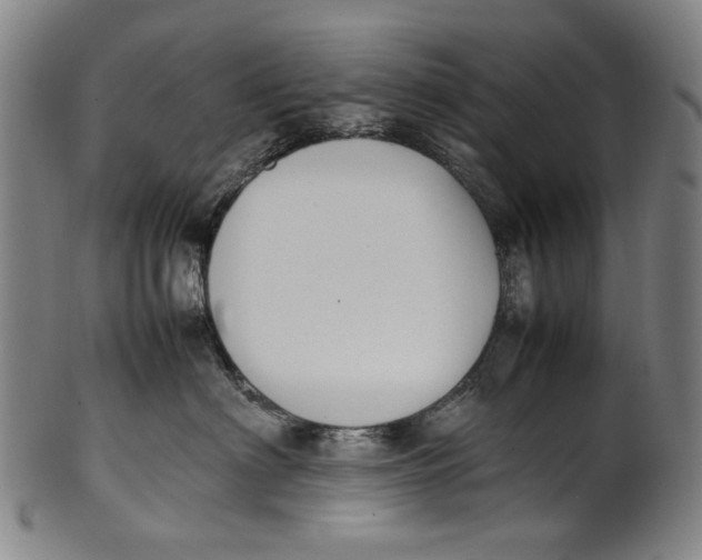 X0000100850622200807111217