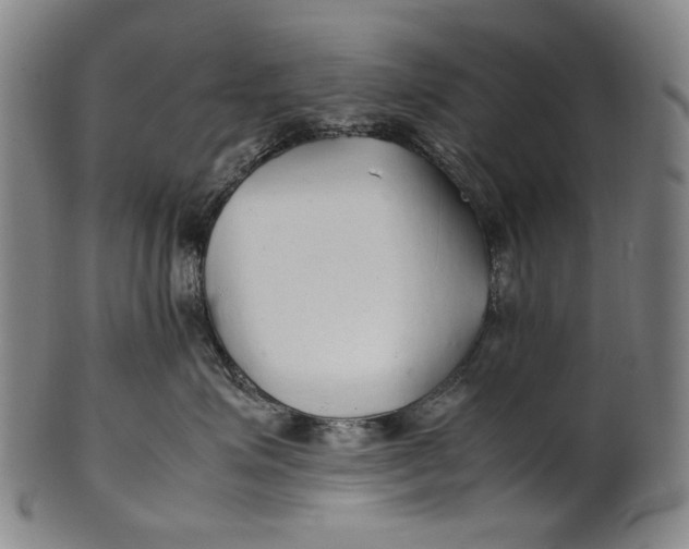 X0000100850623200807111217