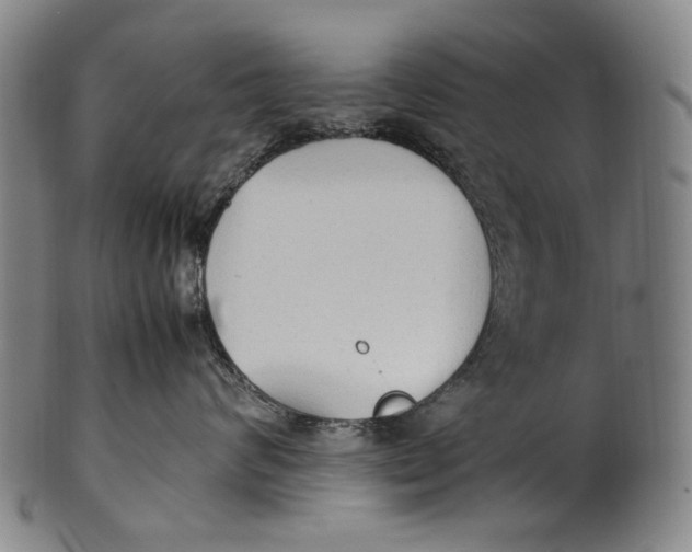 X0000100850624200807111217