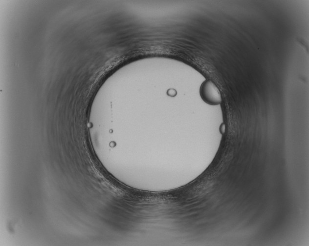 X0000100850625200807111217