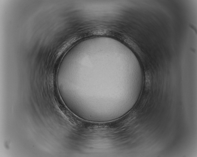 X0000100850626200807111217