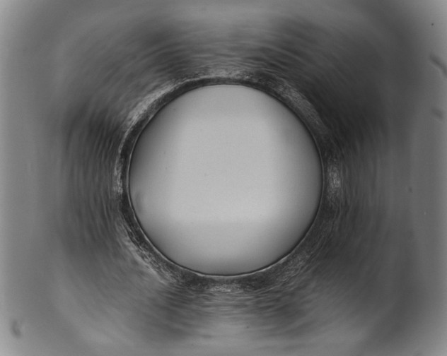 X0000100850628200807111217