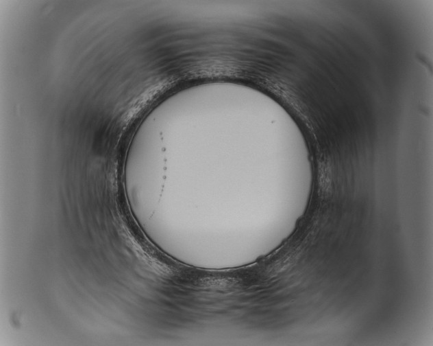 X0000100850629200807111217