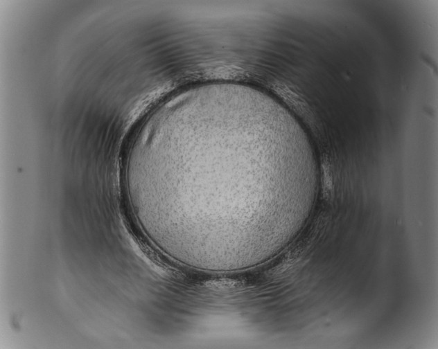 X0000100850630200807111217