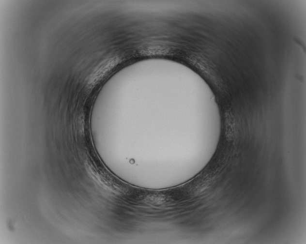 X0000100850631200807111217