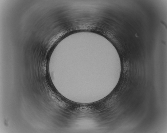 X0000100850632200807111217