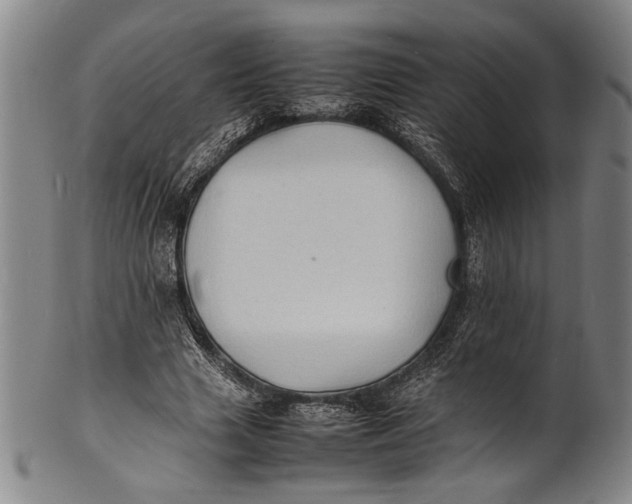 X0000100850633200807111217