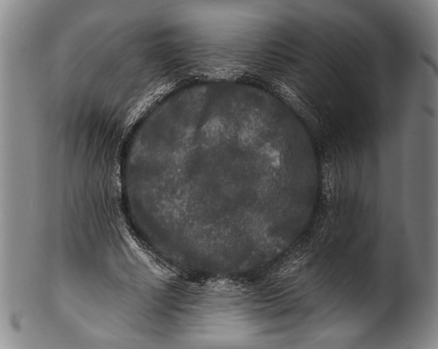 X0000100850634200807111217