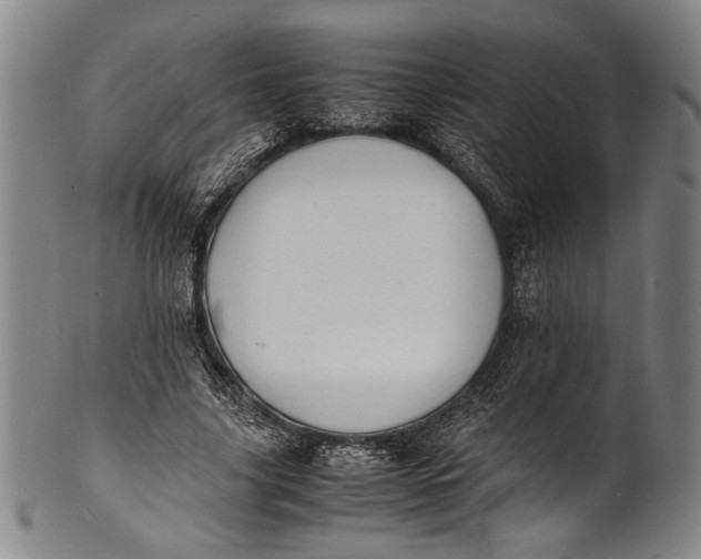 X0000100850635200807111217