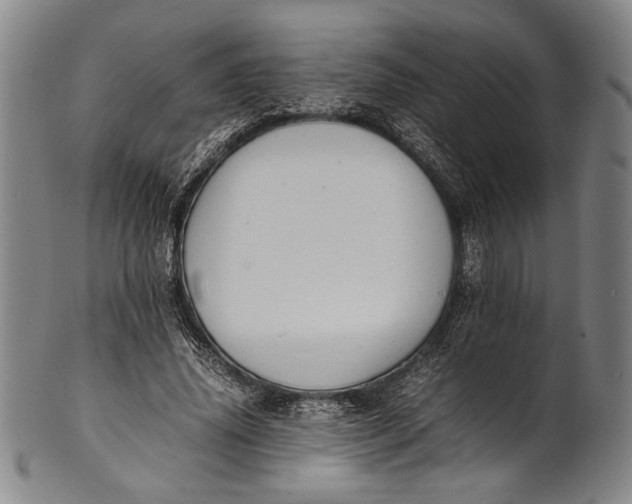 X0000100850636200807111217