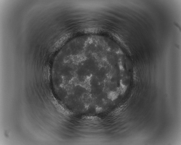 X0000100850637200807111217