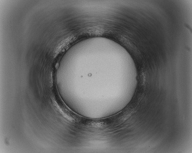 X0000100850638200807111217