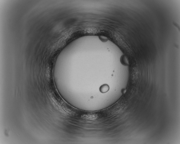 X0000100850639200807111217